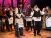 Fiddler - 17